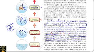 Part 4 Biomagnification and EutrophicationNcert class 12th biology [upl. by Atiuqehc]