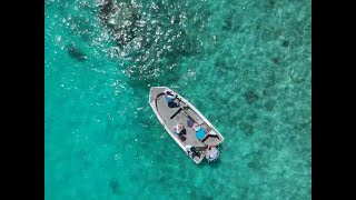 Final Scott Reef Trip of 2020 INSANE FISHING [upl. by Massab]