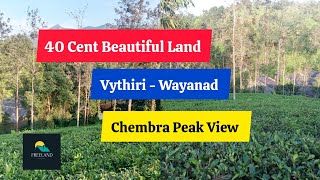 40 Cent Beautiful Resort Land For Sale  Vythiri  Wayanad [upl. by Bores180]