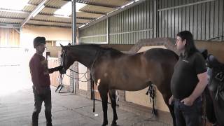 Saddle Fitting for the Thoroughbred Hack with Mathew Lawrence [upl. by Gillie]