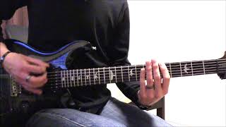 In Flames  Leeches  guitar cover [upl. by Enneiviv263]