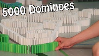 5000 Dominoes  The Never Ending Chain Reaction 001 HD [upl. by Thayer10]