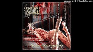 Kraanium  Ten Acts Of Sickening Perversity Full Album [upl. by Onailerua895]