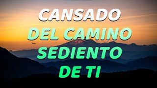 Sumergeme  Jesus Adrian Romero LetraLyrics Cansado Del Camino [upl. by Pandich144]