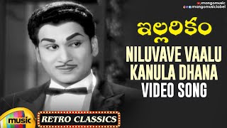 Niluvave Vaalu Kanula Daana Video Song  Illarikam Movie  ANR  Jamuna  Old Telugu Hit Songs [upl. by Ydnew760]