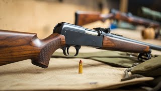 Best 22 LR Rifles 2025 No1 Definitely Will Shock You [upl. by Urbas]