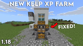 Simple Kelp XP Farm in Minecraft Bedrock 118 [upl. by Norred]