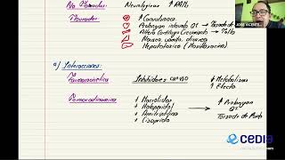 Farmacología Grupo 1  Quinolonas [upl. by Fortin649]