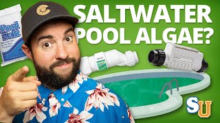 How to Remove ALGAE From a SALT WATER POOL  Swim University [upl. by Bellaude]