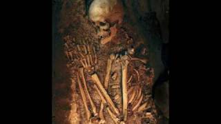 Giants humans skeletons found all over the world [upl. by Jacinthe214]