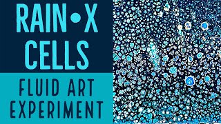 18 Fluid Art  Using Rain•X to Create Beautiful Cells [upl. by Saberio]