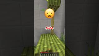 If a fly loses its wings 😂💀 sounds via Ryanhdlombard funny minecraft [upl. by Weissmann72]