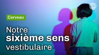 Le système vestibulaire un sixième sens méconnu  Reportage CNRS [upl. by Schwerin]