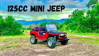 So You Wanna Buy A Mini Jeep Here’s All the Info You Need and More [upl. by Ahsat364]