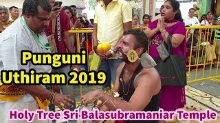 Panguni Uthiram 2019  Singapore [upl. by Shaver488]