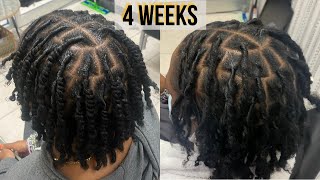 First Retwist on TwoStrand Twist Starter Locs  Talk Through  Technique  Loctician [upl. by Arihs]