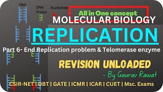 Molecular Biology Quick Revision Part6  End Replication problem telomere shortening amp Telomerase [upl. by Rekcut]