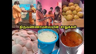 திருவண்ணாமலை பற்றிய சாதுக்களின் அனுபவம் 4Tiruvannamalai sadhus life  part 4 [upl. by Maje]