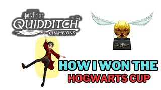 How I won the Hogwarts Quidditch Cup  Harry Potter Quidditch Champions [upl. by Anirehtak]