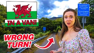 WALES in a selfbuilt Camper Van  VAN LIFE UK [upl. by Phippen342]