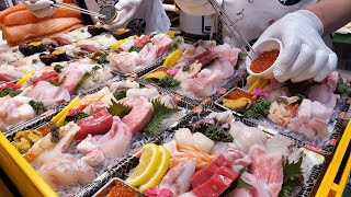 참돔 양식장 부터 시장골목 민영 활어 집 까지  거를 게 없는 해산물 모음  Seafood from Sashimi to Fish Farms  Korean Sea food [upl. by Ynaffik48]