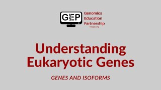 UEG  Genes and Isoforms [upl. by Zaslow]