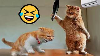 Funniest Cat and Dog Videos Ever 😂 Try Not to Laugh Challenge [upl. by Koressa492]