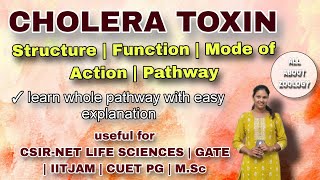 CHOLERA TOXIN  MSc Classes  Cell Biology  CSIRNET LIFE SCIENCES  GATE [upl. by Nehr]