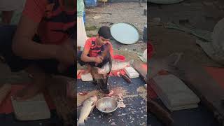 Fastest Big Size Katla Fish Cutting By Expert In Bangladsh fish fishcutting youtubeshorts [upl. by Aicilat457]