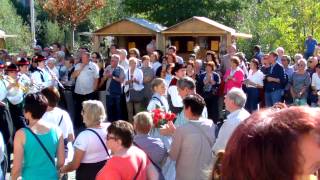 Stadtkapelle Meran  Traubenfest 2014 [upl. by Hanikehs257]