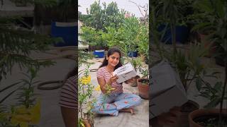 একটা নতুন অবাক করা জিনিস কিনলাম😯♥️ trending minivlog gardening garden birds viralvideo shorts [upl. by Williamson]