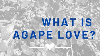 What is Agape Love [upl. by Vinnie]