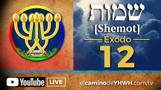 Éxodo 12 2º Shemot La Primer Fiesta de Pesaj  Muerte de los Primogénitos  Salida de Egipto [upl. by Neros563]