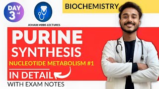 purine synthesis biochemistry  nucleotide metabolism biochemistry  purine nucleotide synthesis [upl. by Clarette]