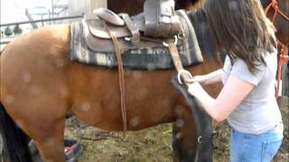 How to western saddle your horse [upl. by Ahsoym]