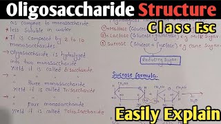 Oligosaccharide Structure And Classification  Disaccharide  Sucrose  Maltose  Class 11 [upl. by Omlesna]