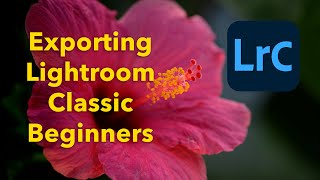 Exporting For Lightroom Classic for beginners [upl. by Marlene]