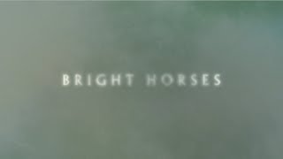 Nick Cave and The Bad Seeds  Bright Horses Official Lyric Video [upl. by Aivata]