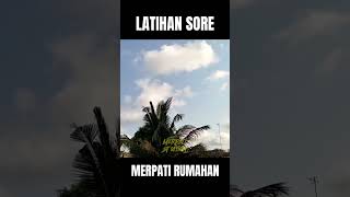 Latihan merpati tomprang punyane bro agus merpati merpatirumahan [upl. by Nylkaj]