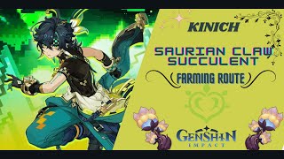 The easiest and sufficient way Kinich material farming Route  Genshin Impact [upl. by Nuawaj]