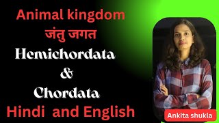 Animal kingdom NeetHemichordata and ChordataHindiEnglish [upl. by Milissent]