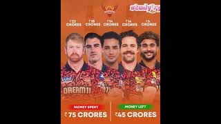 Hyderabad team ipl cricketteam india [upl. by Cormier]