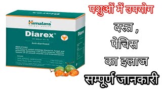 Dairex Himalaya  Dairex himalaya bolus uses in hindi in veterinary [upl. by Idalla71]