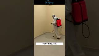 How To Clean a Vacant Apartment of Pests [upl. by Tower]