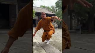 Traditional kung fu sevenstar boxingKung FuTaijiquanChinese Kung FuChinese Wushu [upl. by Castorina851]