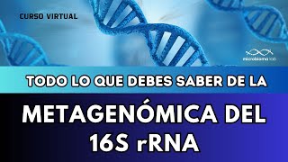 🧬🧬🧬CURSO de METAGENÓMICA del 16S rRNA virtual 🧬🧬🧬 Aprende a hacer una librería de METABARCODING [upl. by Steffen]