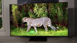 Enormous 98quot TCL S5 LED TV  Best Deal Ever [upl. by Nelluc854]