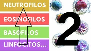 LEUCOCITOS » ¿Qué son Funciones Valores adecuados Parte 2 [upl. by Iuq]