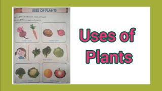 Uses of plants  Teaching ideas for parents [upl. by Halimeda105]