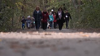 Fitmarsch und Lauf in Himberg [upl. by Ivanah715]